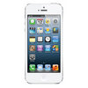 Apple iPhone 5 16Gb white - Воркута