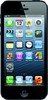Apple iPhone 5 64GB - Воркута